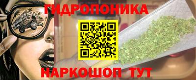 гашик Донецк